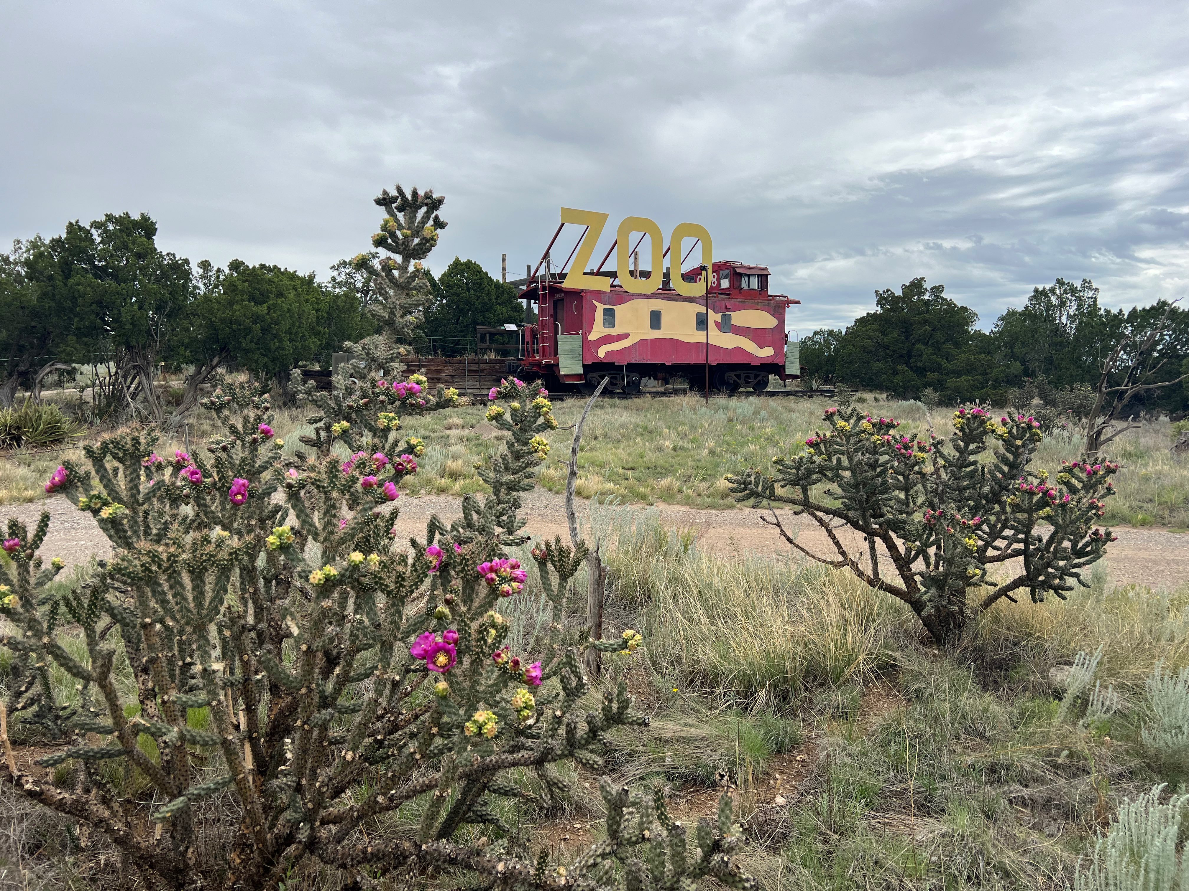 Edgewood, New Mexico.... on the Edge of Wild